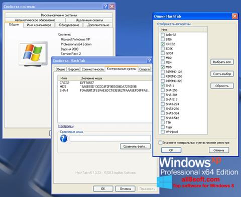 Screenshot HashTab für Windows 8