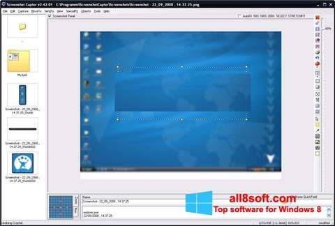 Screenshot ScreenShot für Windows 8