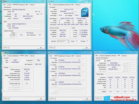 Screenshot CPU-Z für Windows 8