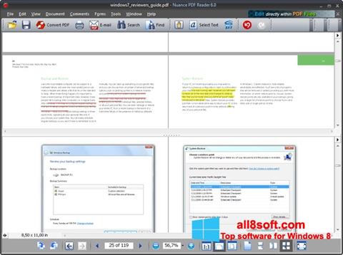 Screenshot Nuance PDF Reader für Windows 8
