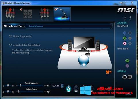 Screenshot Realtek Audio Driver für Windows 8