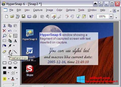 Screenshot HyperSnap für Windows 8