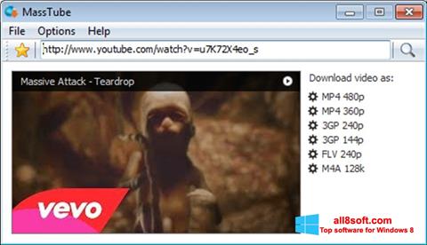 Screenshot MassTube für Windows 8