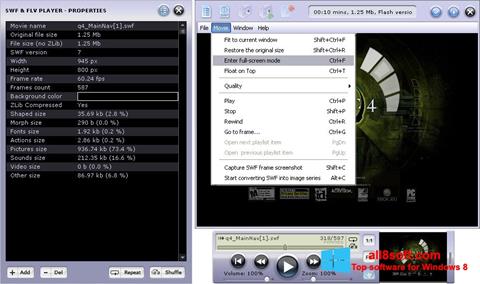 Screenshot FLV Player für Windows 8