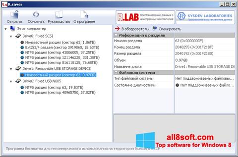 Screenshot R.saver für Windows 8