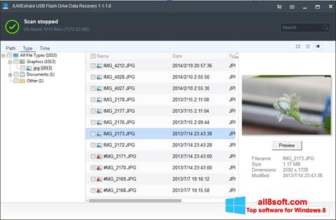 Screenshot USB Flash Drive Recovery für Windows 8