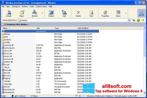 Screenshot WinAce für Windows 8