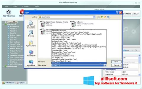 Screenshot Any Video Converter für Windows 8