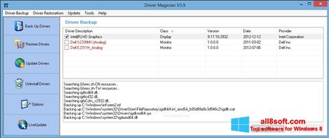 Screenshot Driver Magician für Windows 8