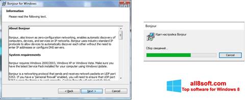 Screenshot Bonjour für Windows 8