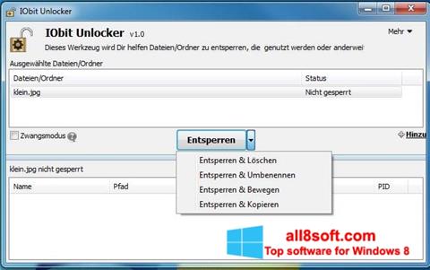 Screenshot IObit Unlocker für Windows 8