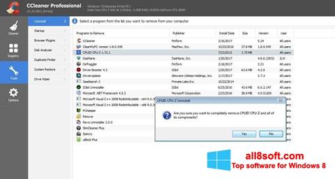 Screenshot CCleaner Professional Plus für Windows 8