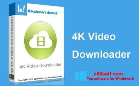 Screenshot 4K Video Downloader für Windows 8