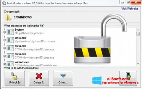 Screenshot LockHunter für Windows 8