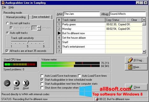 Screenshot Audiograbber für Windows 8