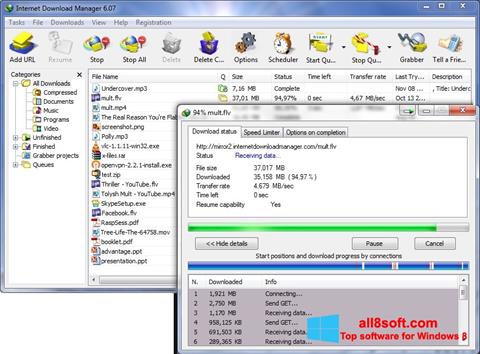 Screenshot Internet Download Manager für Windows 8