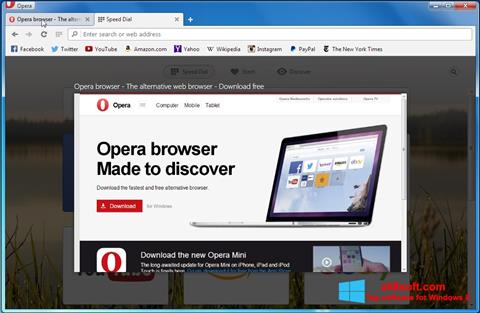 Screenshot Opera Developer für Windows 8