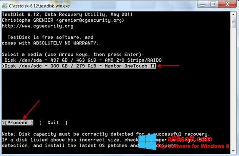 Screenshot TestDisk für Windows 8