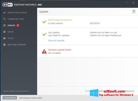 Screenshot ESET Endpoint Antivirus für Windows 8