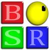 BSR Screen Recorder für Windows 8