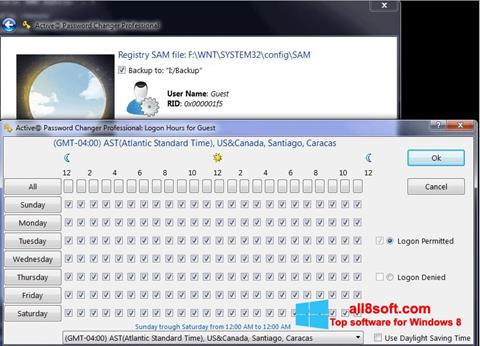 Screenshot Active Password Changer für Windows 8
