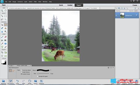Screenshot Photoshop Elements für Windows 8