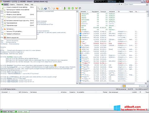 Screenshot FlylinkDC++ für Windows 8