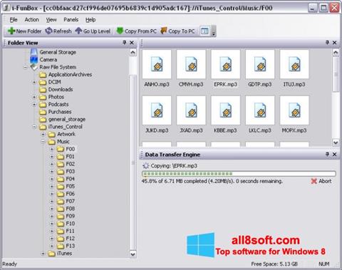 Screenshot iFunBox für Windows 8