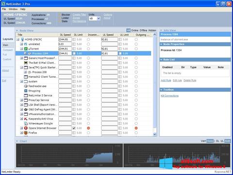 Screenshot NetLimiter für Windows 8