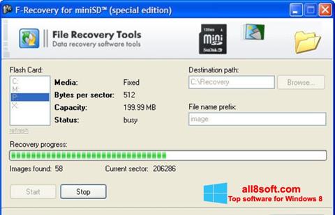 Screenshot F-Recovery SD für Windows 8