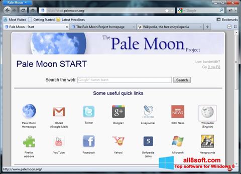 Screenshot Pale Moon für Windows 8