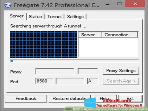 Screenshot Freegate für Windows 8
