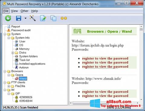 Screenshot Multi Password Recovery für Windows 8