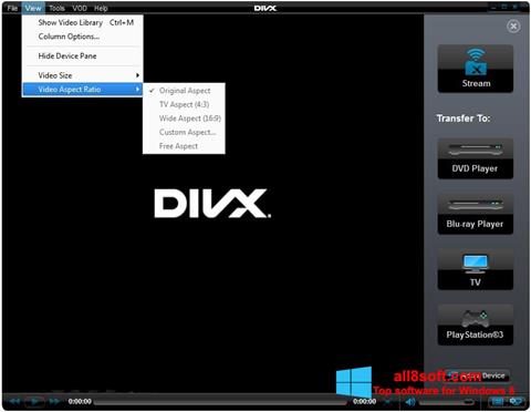 Screenshot DivX Player für Windows 8