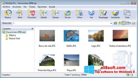 Screenshot WinZip für Windows 8