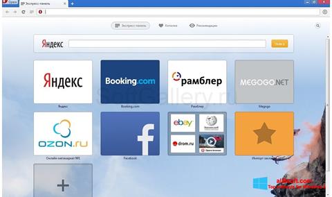 Screenshot Opera Next für Windows 8