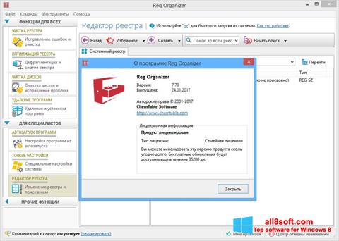 Screenshot Reg Organizer für Windows 8