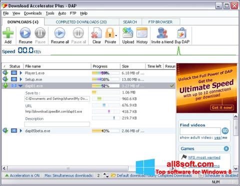 Screenshot Download Accelerator Plus für Windows 8