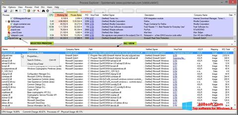 Screenshot Process Explorer für Windows 8