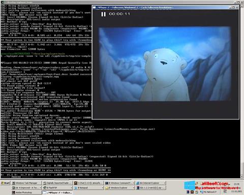 Screenshot MPlayer für Windows 8