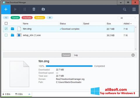 Screenshot Free Download Manager für Windows 8