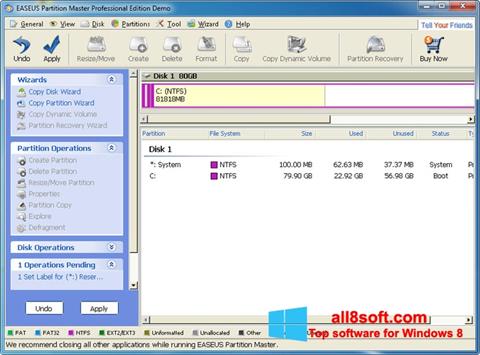 Screenshot EASEUS Partition Master für Windows 8